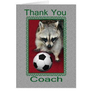 soccer coach
