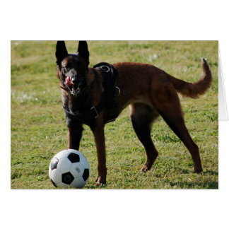 Soccer Dog