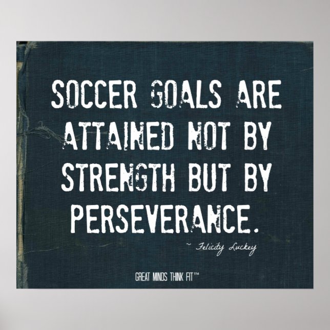 Soccer Goals Poster in Ripped Denim 008 (Front)