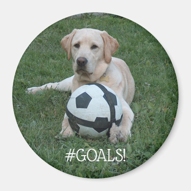 Soccer Lab #GOALS! Magnet (Front)