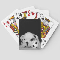 "Soccer Puppy" English Bulldog Photography