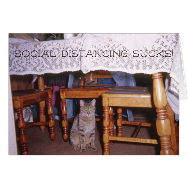 Social distancing Cat Under a Kitchen Table (Front Horizontal)