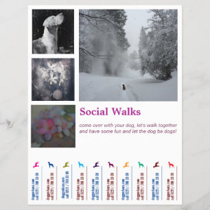 Social Dog walks Ripp Off Flyer