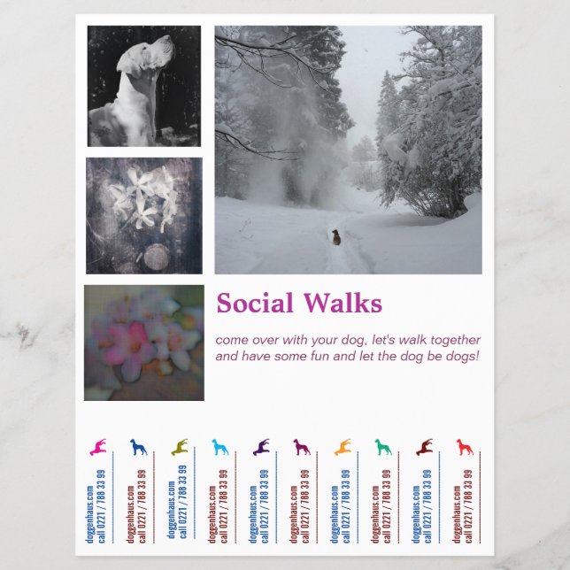Social Dog walks Ripp Off  Flyer (Front)