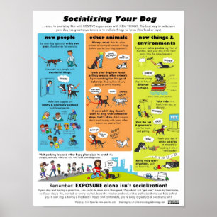 Socialising Your Dog Poster