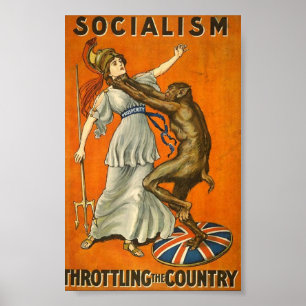 Socialism Poster