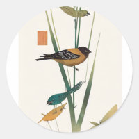 Society finch and green reed