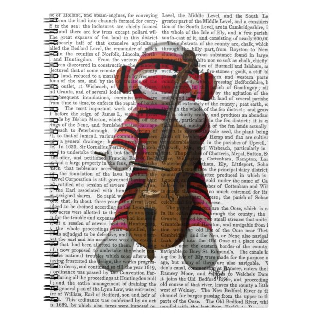 Sock Monkey and Cello Spiral Notebook (Front)