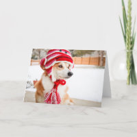 Sock Monkey Hat Corgi blank greeting card