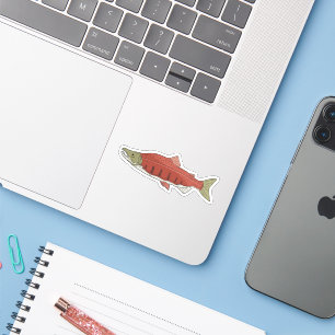 Sockeye Salmon Doodle