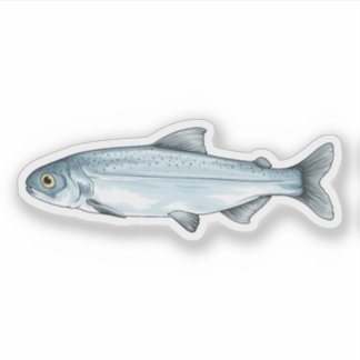 Sockeye Salmon Smolt