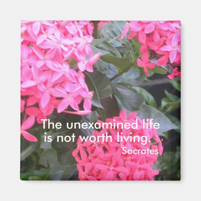 Socrates Motivational Quotation Magnet (Front)