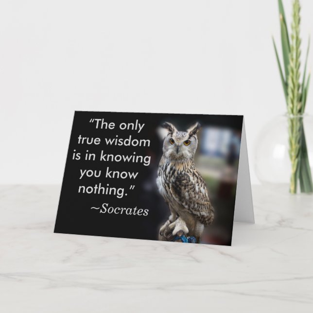 Socrates Quote Eagle Owl Card (Front)