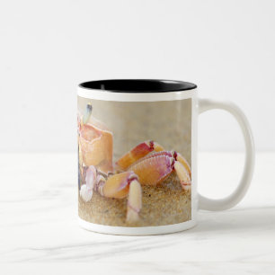Sodwana Bay, KwaZulu Natal Province, South Two-Tone Coffee Mug
