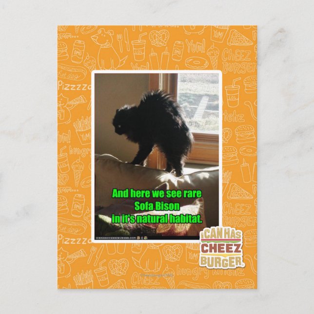 Sofa Bison Postcard (Front)