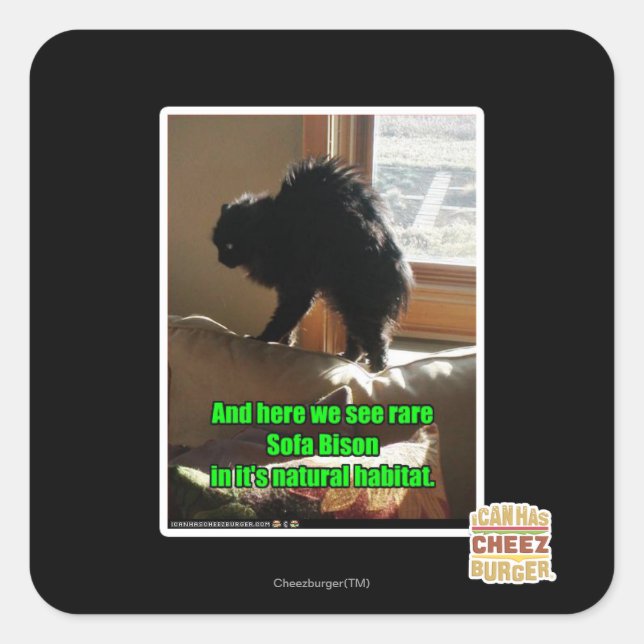 Sofa Bison Square Sticker (Front)