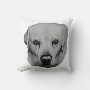 Sofa Guardian, Soft Gaze Cushion
