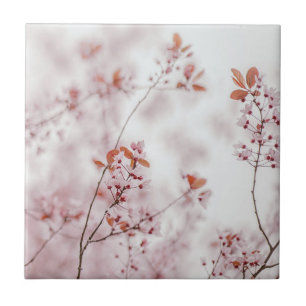 Soft abstract sakuras, aesthetic photo tile