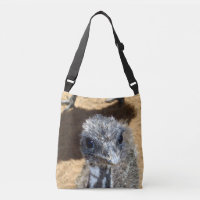 Soft And Fuzzy: Australian Baby Emu Face,