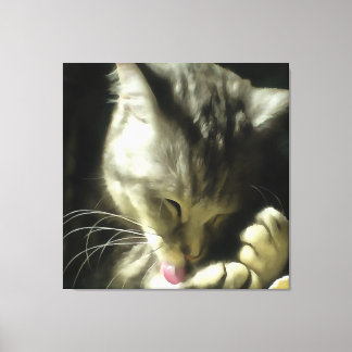 Soft And Gentle Fur And Purr Of A Grey Cat Canvas Print