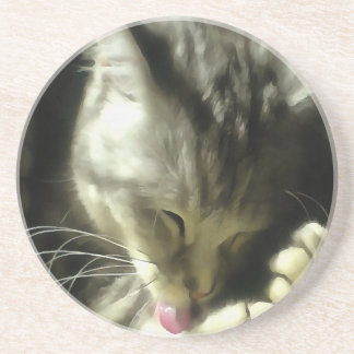 Soft And Gentle Fur And Purr Of A Grey Cat Coaster