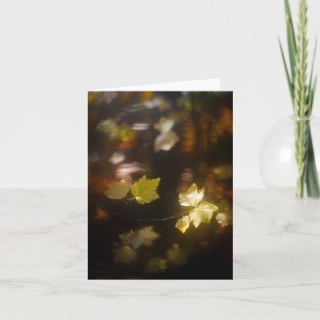 Soft Autumn Light Leaves Photo Card (Front)