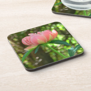 "SOFT BABY-PINK AND CREAMY OFF-WHITE PEONY" COASTE COASTER