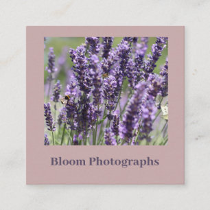 Soft Beautiful Lavender Field Business Card