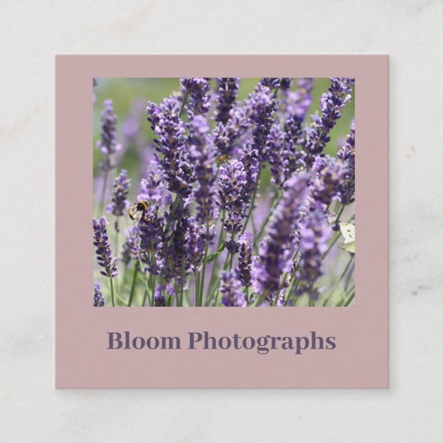 Soft Beautiful Lavender Field Business Card (Front)