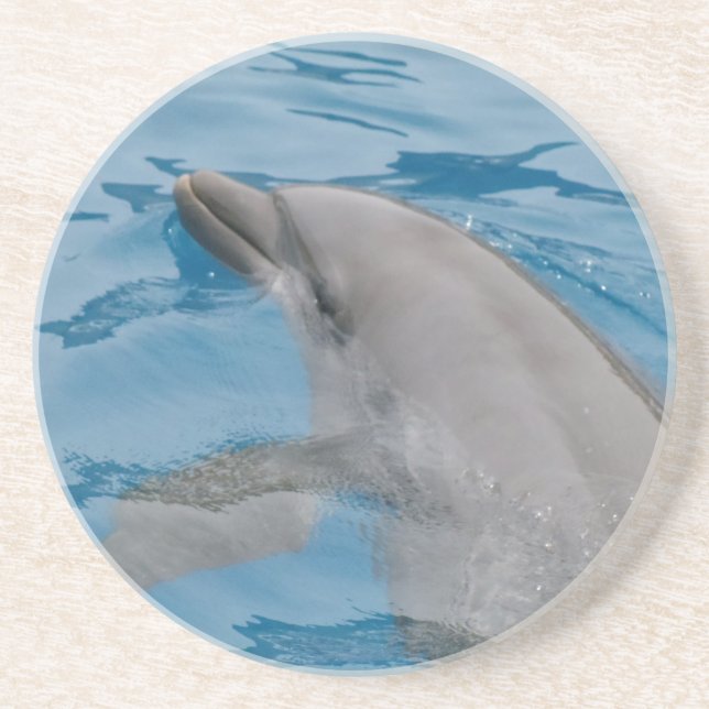 Soft Blue Dolphin Ripples in Clear Water Coaster (Front)