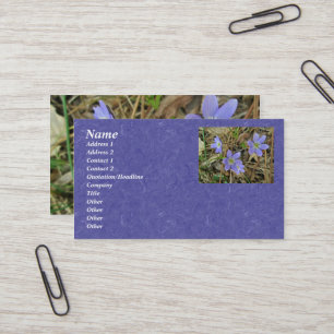 Soft Blue Hepatica Business Card