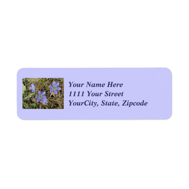 Soft Blue Hepatica Wildflower Address Label (Front)
