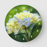 Soft Blue Hydrangea Flower