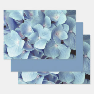 Soft Blue Hydrangea Pattern  Wrapping Paper Sheet