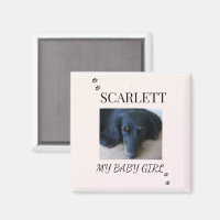 Soft Blush Pet Photo with Paw Print Accents