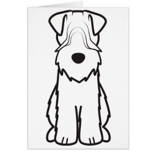 Soft Coated Wheaten Terrier