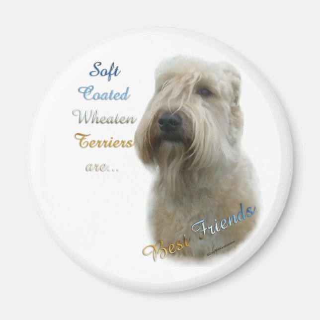 Soft Coated Wheaten Terrier Best F... - Magnet (Front)