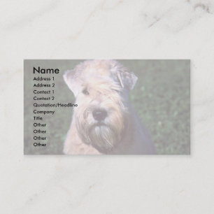 Soft-coated Wheaten Terrier Business Card