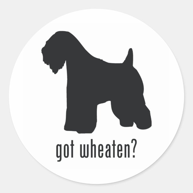 Soft-Coated Wheaten Terrier Classic Round Sticker (Front)