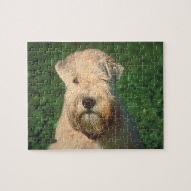 Soft Coated Wheaten Terrier Dog Puzzle (Horizontal)