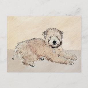 Soft Coated Wheaten Terrier Painting Original Art Postcard