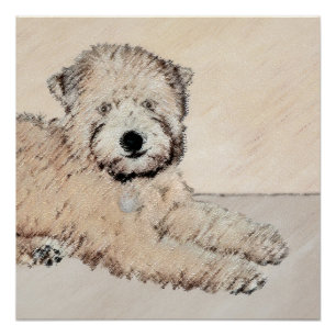 Soft Coated Wheaten Terrier Painting Original Art Poster