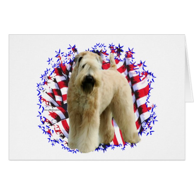 Soft Coated Wheaten Terrier Patriot (Front Horizontal)