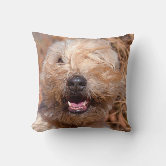 Soft Coated Wheaten Terrier portrait Cushion (Front)