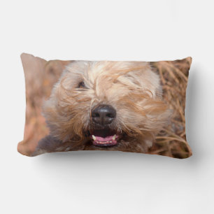 Soft Coated Wheaten Terrier portrait Lumbar Cushion