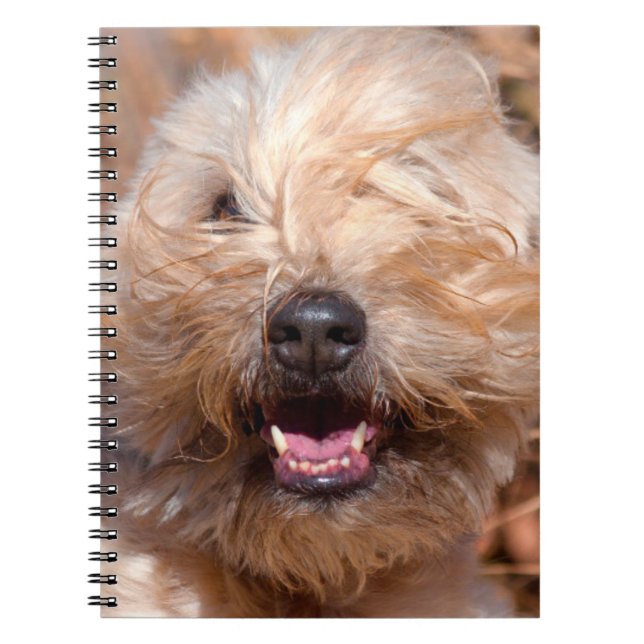 Soft Coated Wheaten Terrier portrait Notebook (Front)