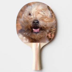 Soft Coated Wheaten Terrier portrait Ping Pong Paddle