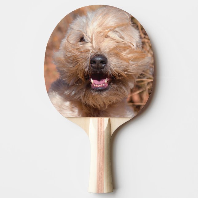 Soft Coated Wheaten Terrier portrait Ping Pong Paddle (Front)