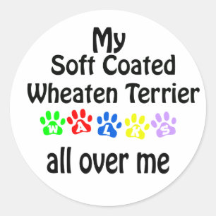 Soft Coated Wheaten Terrier Walks Design Classic Round Sticker