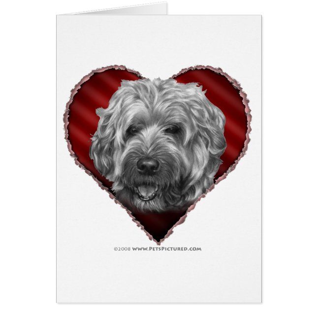 Soft-Coated Wheaten Terrier with Heart (Front)